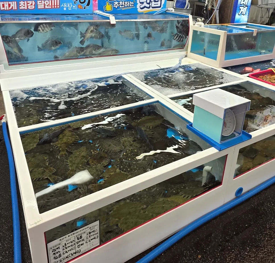 Live fish tanks at Yeonggwang Hoe Daegae Center