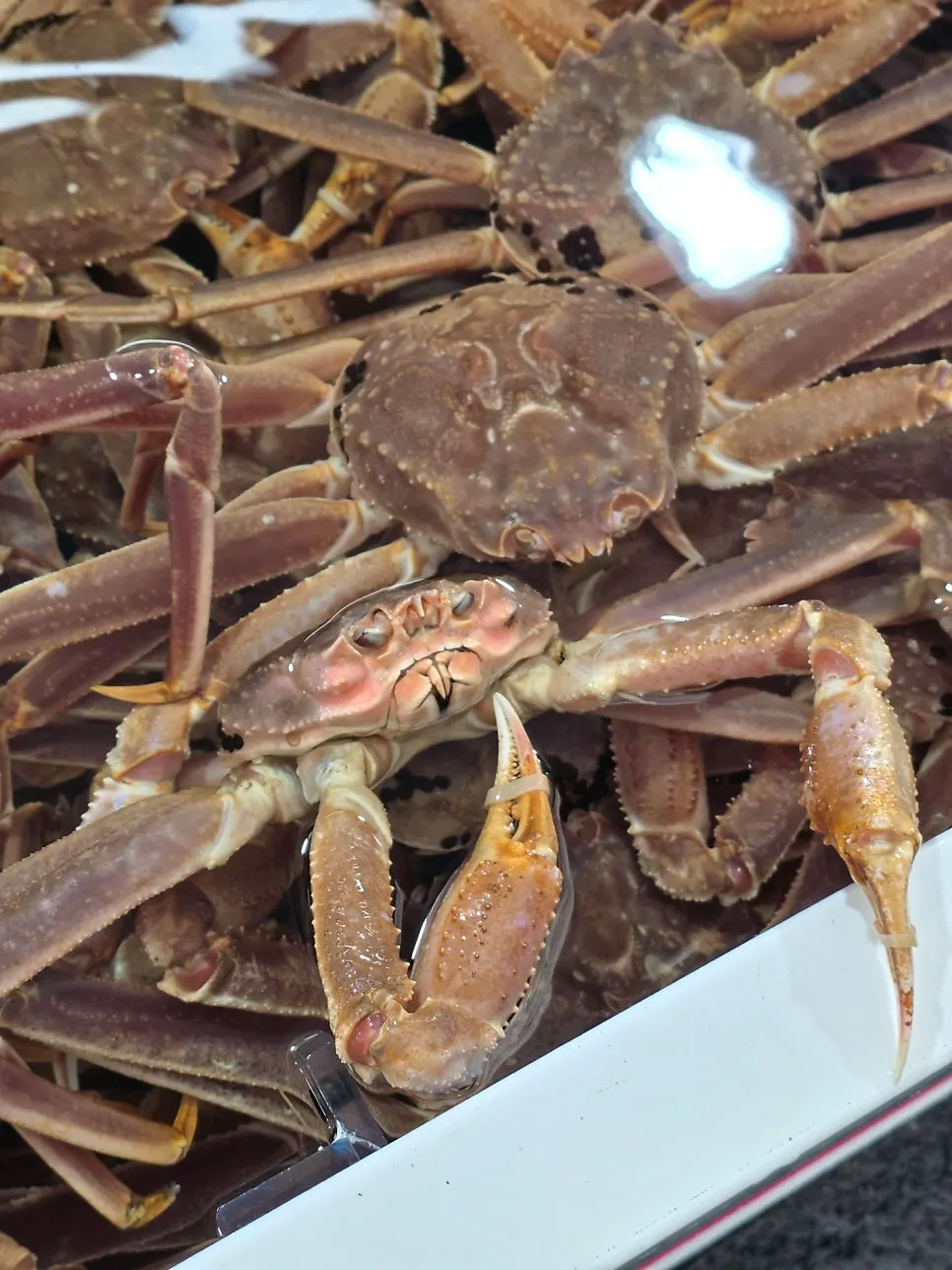 Yeonggwang Hoe Daegae Center's signboard on the crab street