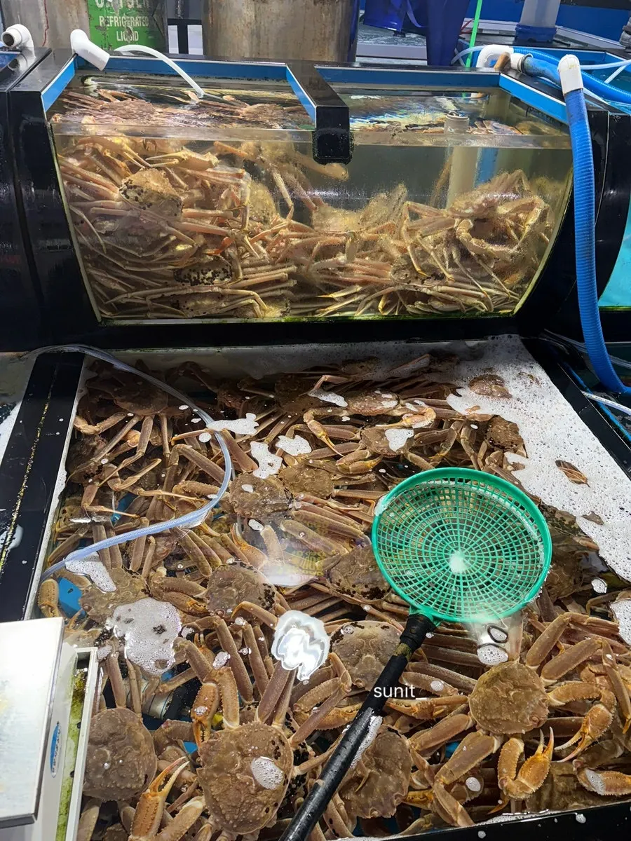 Sashimi and seafood packed in an ice box