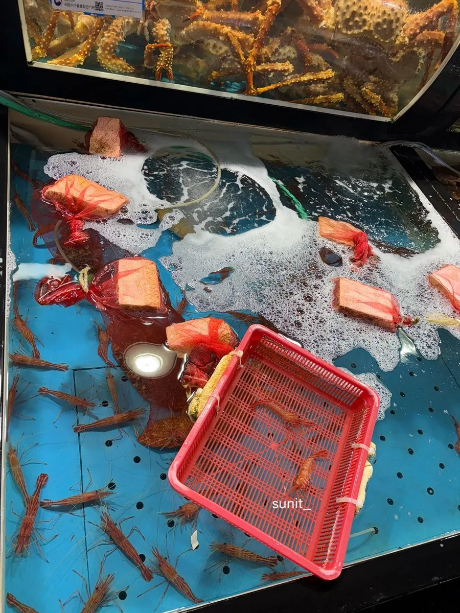 Steamed bakdal snow crab in a warming box