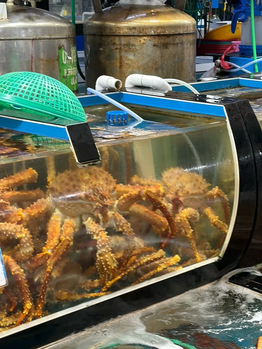 청결하게 관리된 대게 수족관
