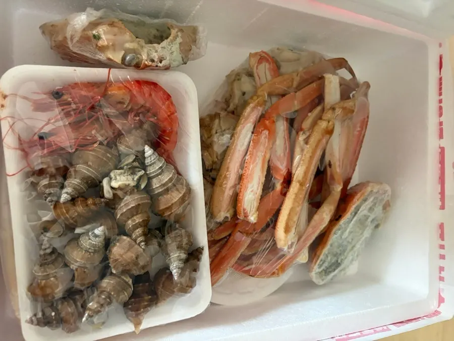 집으로 가져온 스티로폼 포장 상자