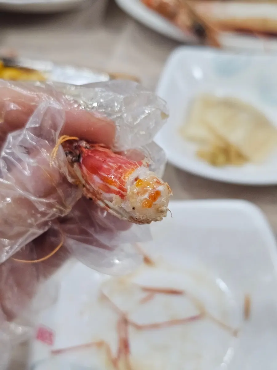Close-up of Dokdo shrimp
