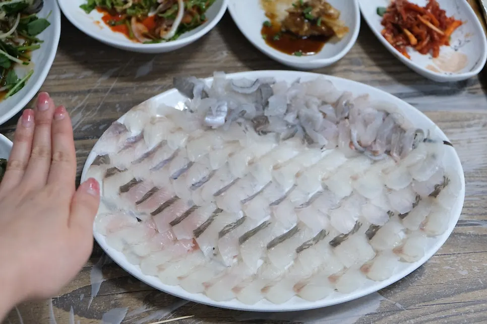 Close-up of neatly sliced sashimi