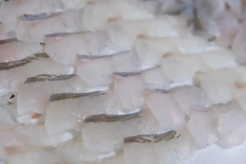 Sashimi enjoyed with soju