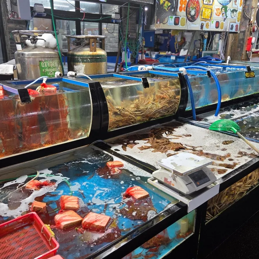 Row of seafood tanks lined up outside the restaurant