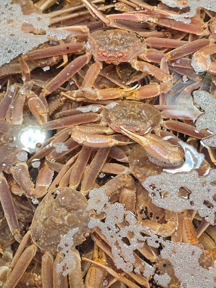 大蟹、綜合生魚片套餐菜單