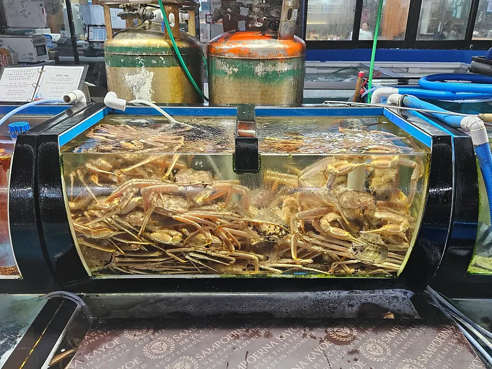 대게집과 횟집이 늘어선 죽도시장 골목
