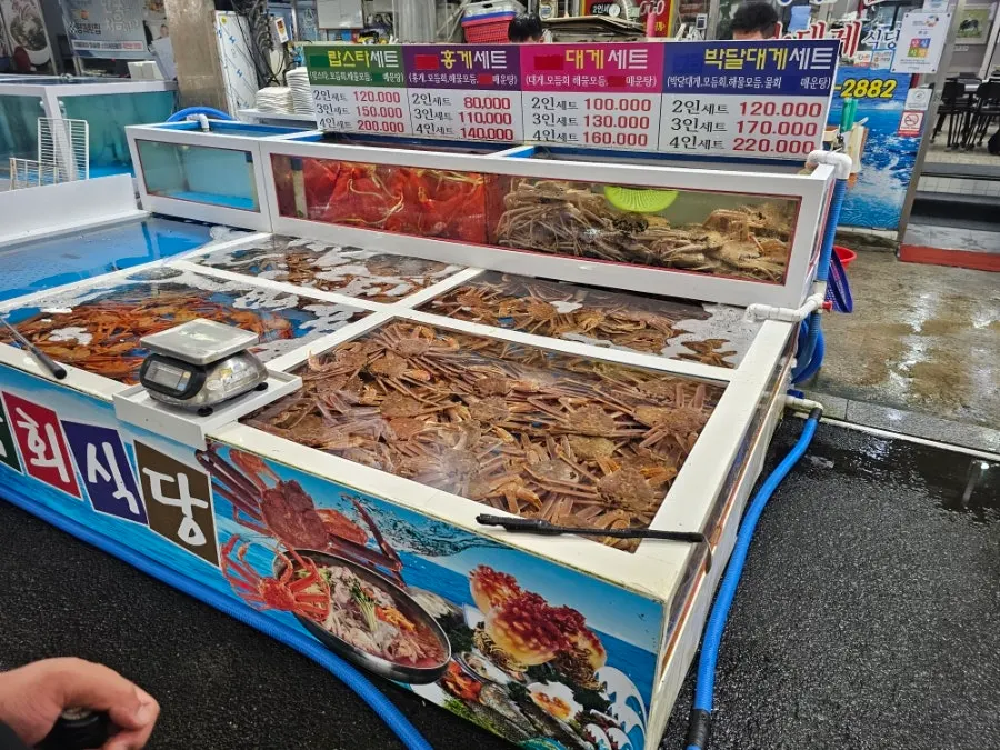 동남회식당 외부에 놓인 수족관