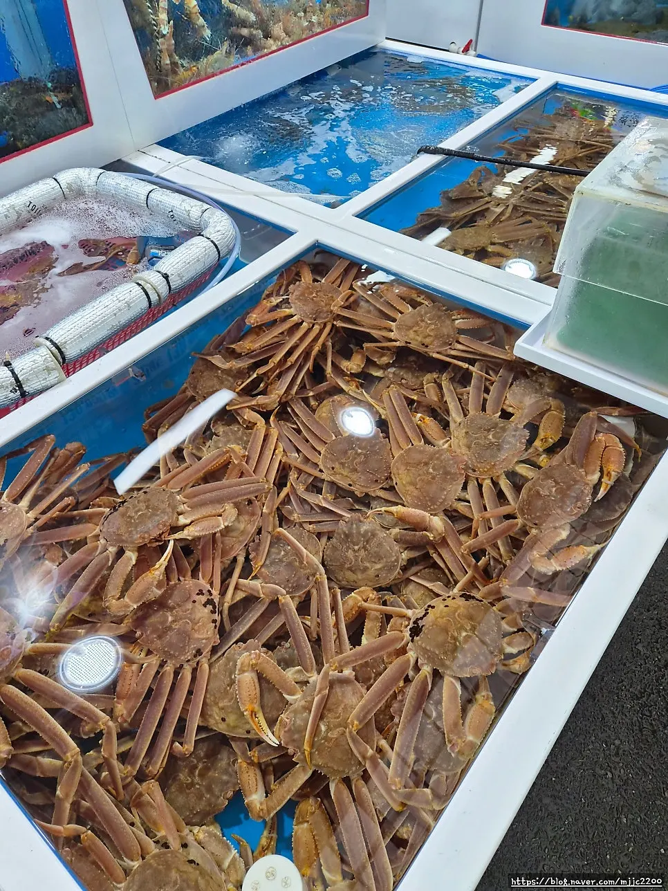 Restaurant entrance with photos of crab and sashimi