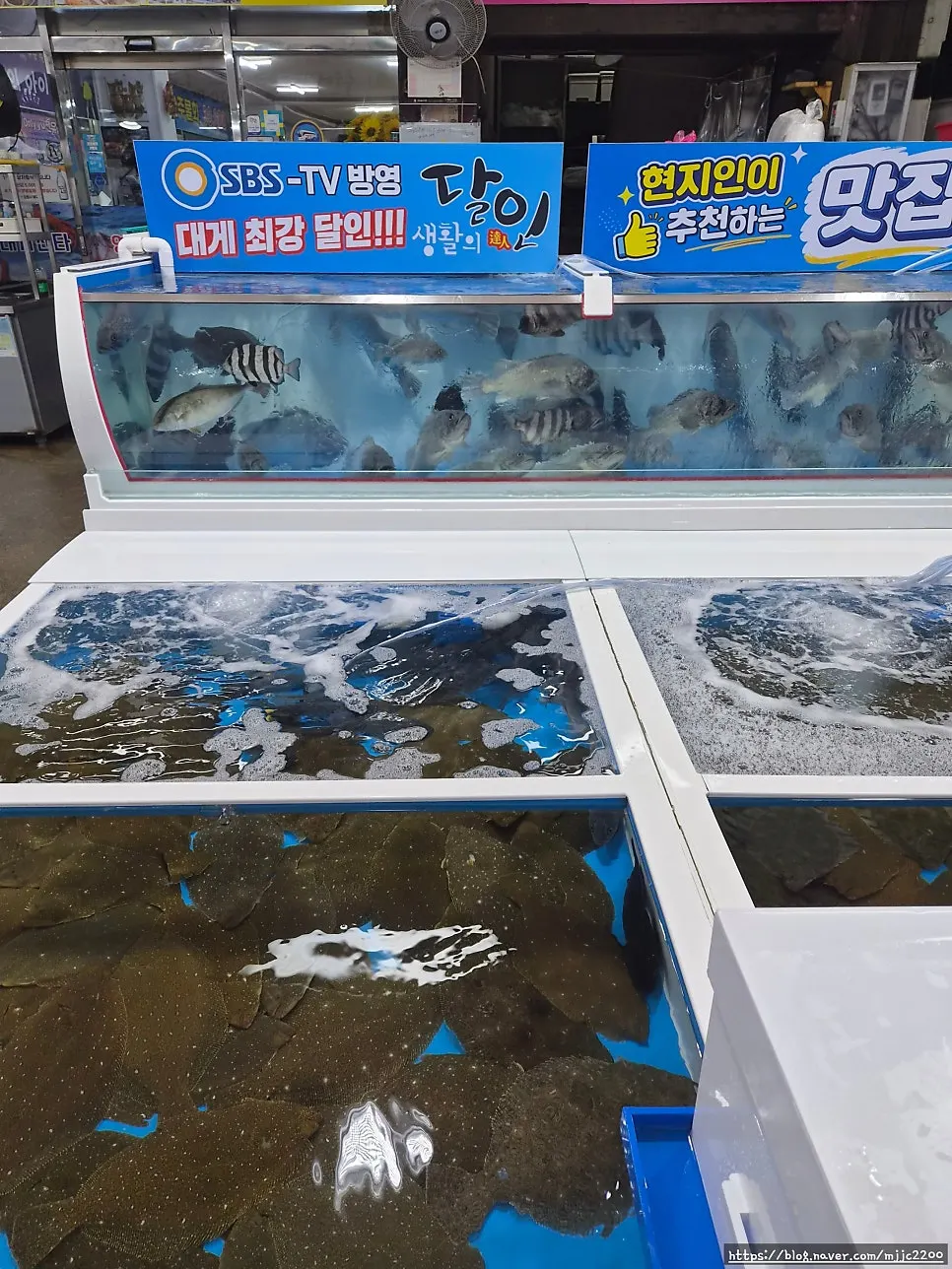 Tank of live crab at the restaurant