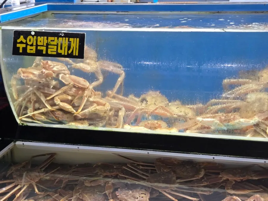 Sign and storefront of Gallilli Daegae Hoe Sikdang