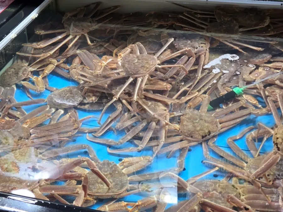 Large fish tank out front with Bakdal snow crab and live fish