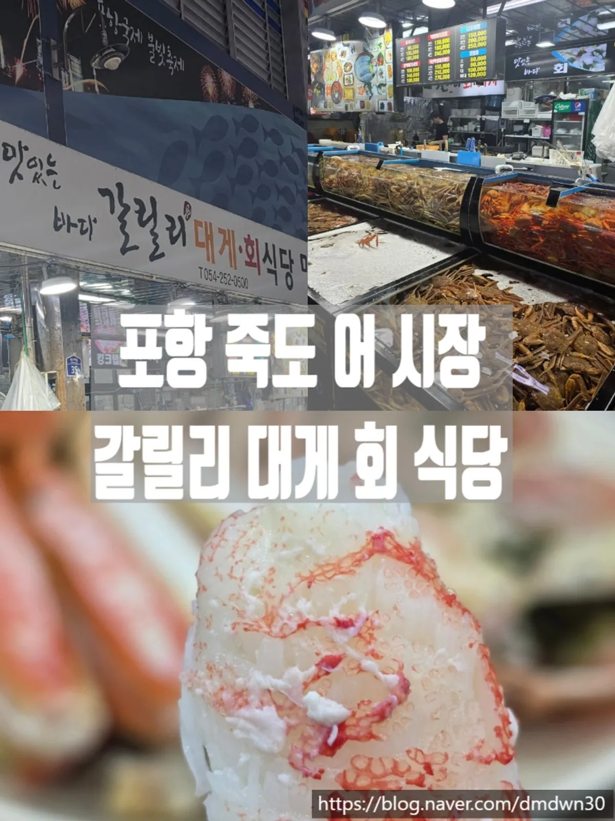 Signature photo of bakdal snow crab enjoyed at Gallilli Daegae Hoe Sikdang in Pohang's Jukdo Market