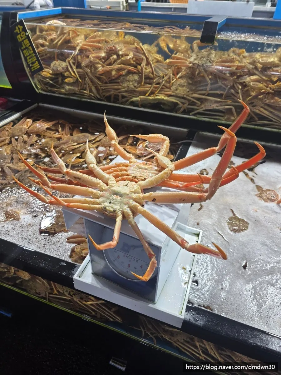 Live crab tank inside the restaurant
