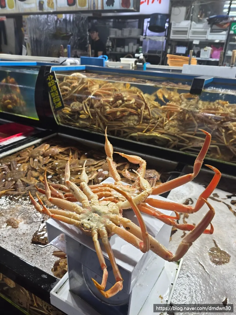 Bakdal snow crab picked directly from the tank