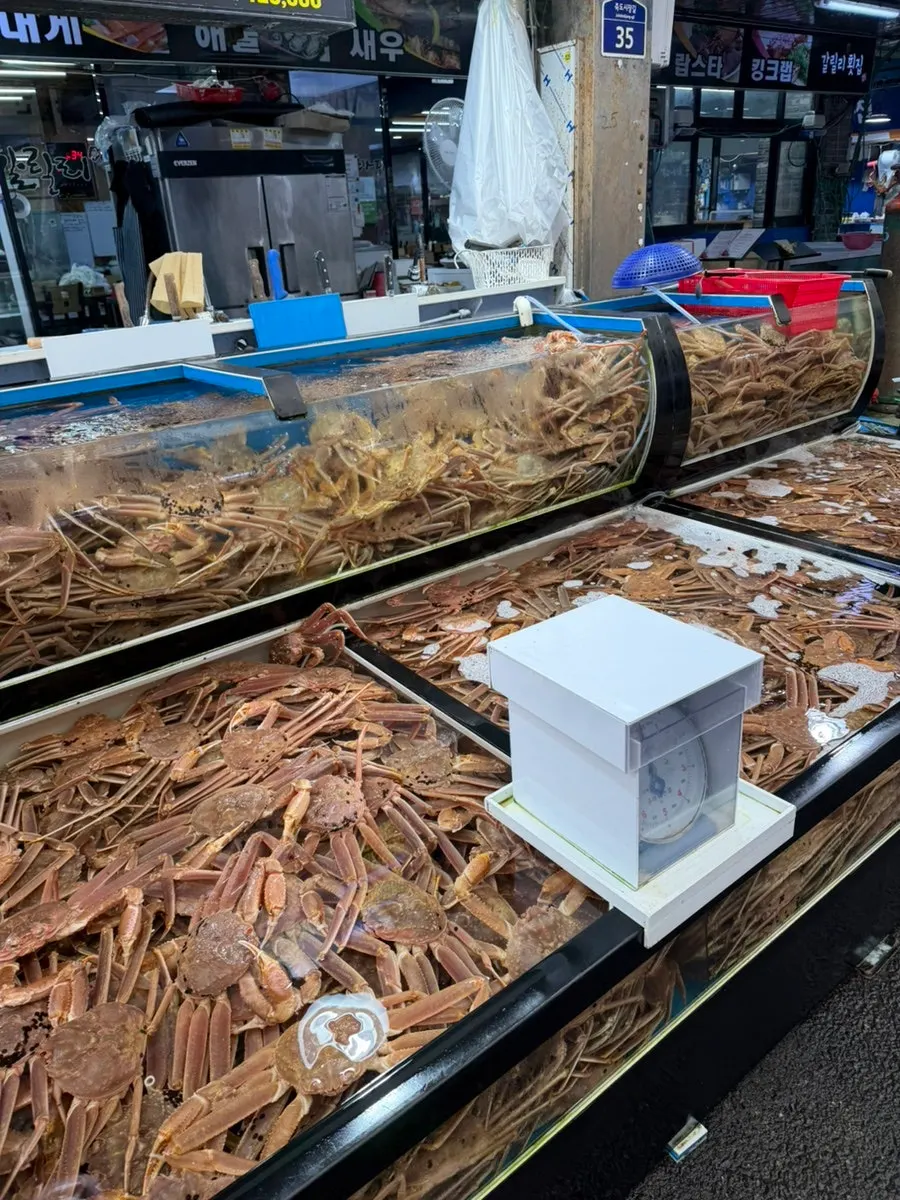Crab tank outside the entrance of Gallilli Daegae Hoe Sikdang