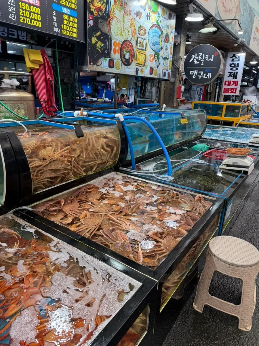 Fresh crabs in a tank on the crab restaurant street