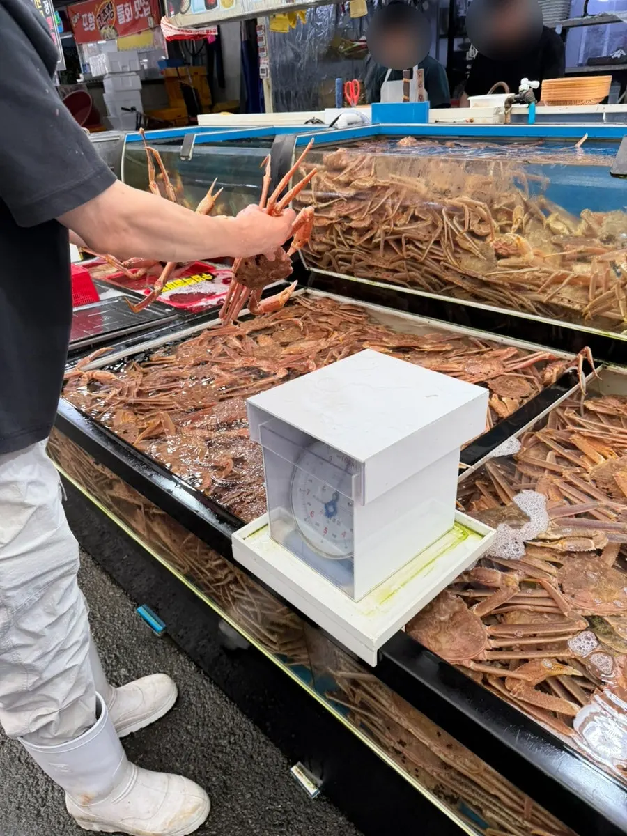 Two crabs chosen by hand