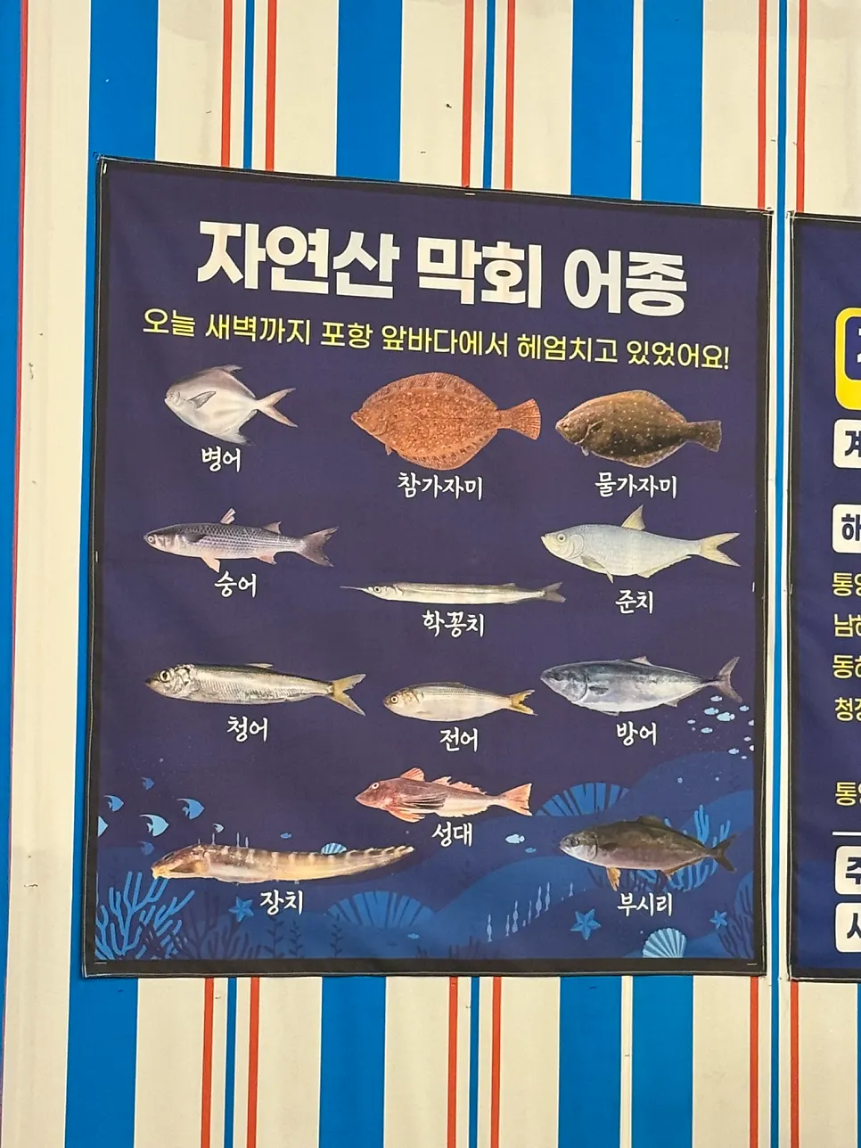 A plate of medium wild makhoe