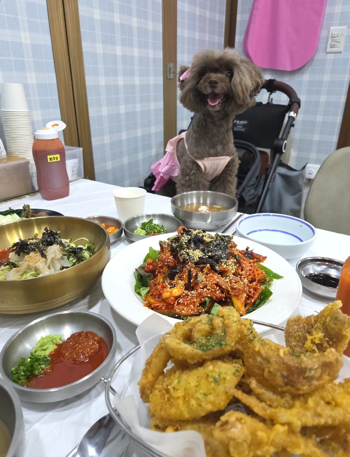 반려견 동반 포항 물회 식사