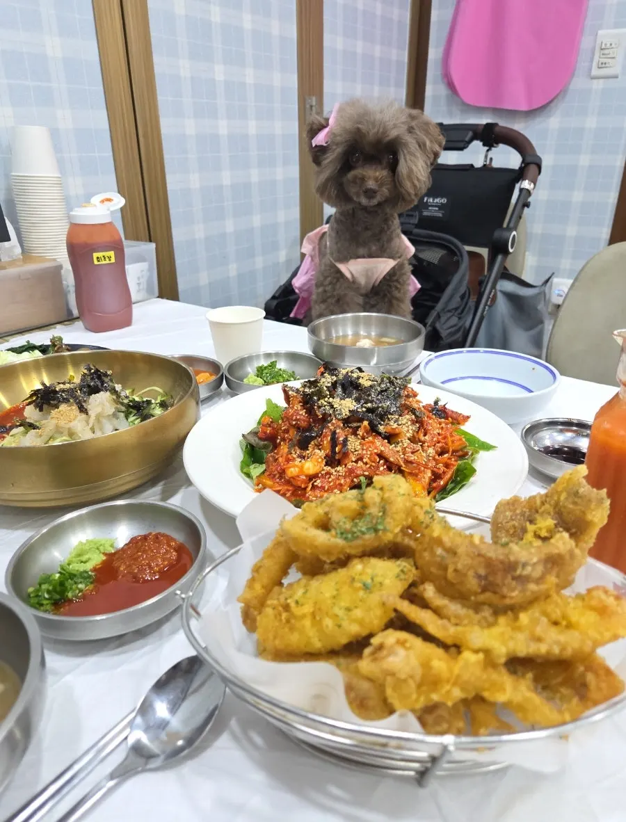 Private room for diners with dogs