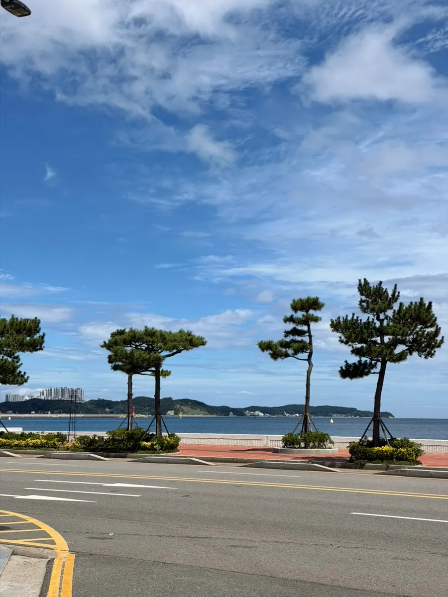 View of the sea at Songdo Beach in Pohang