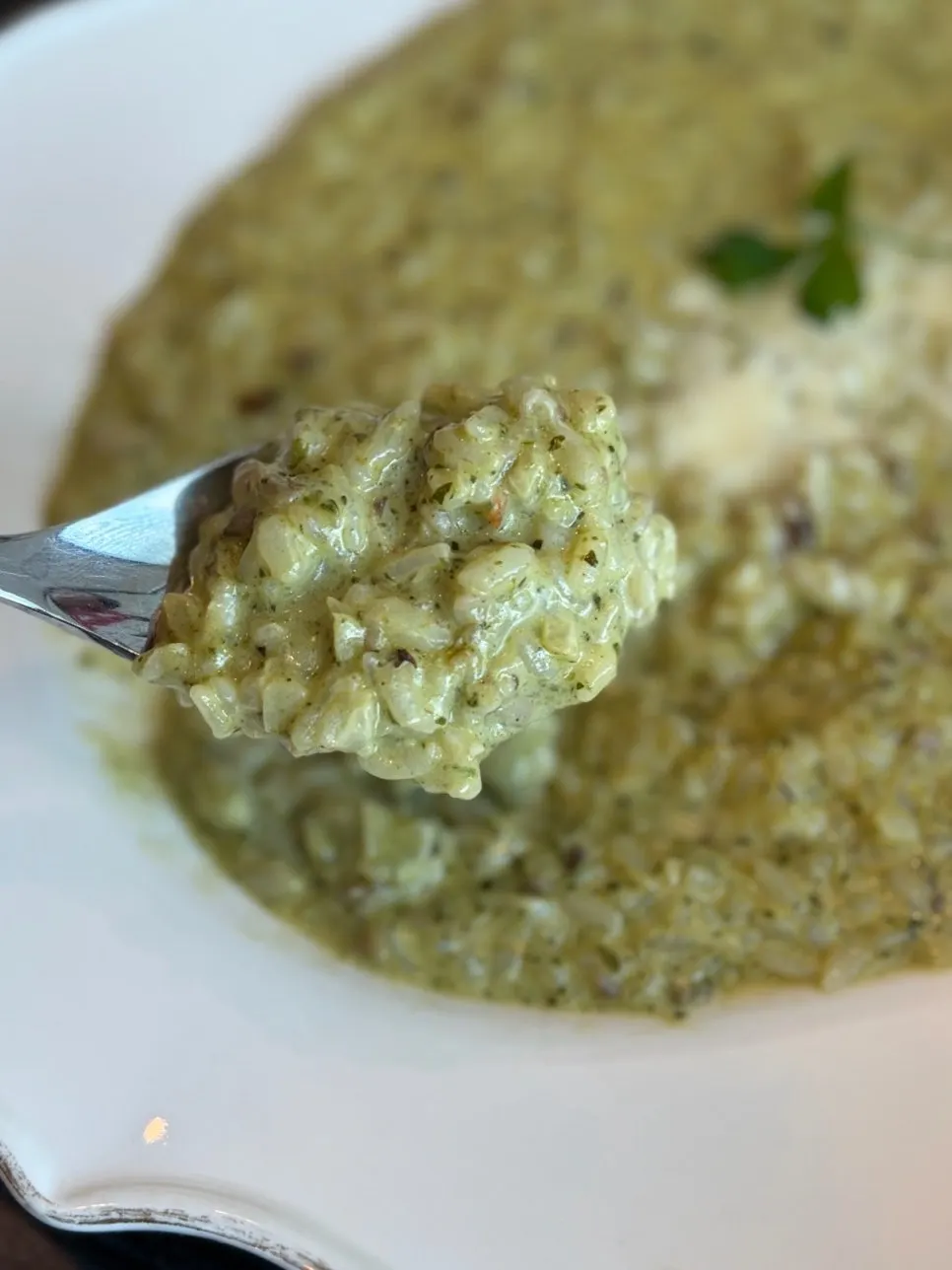 A spoonful of thick mushroom cream risotto