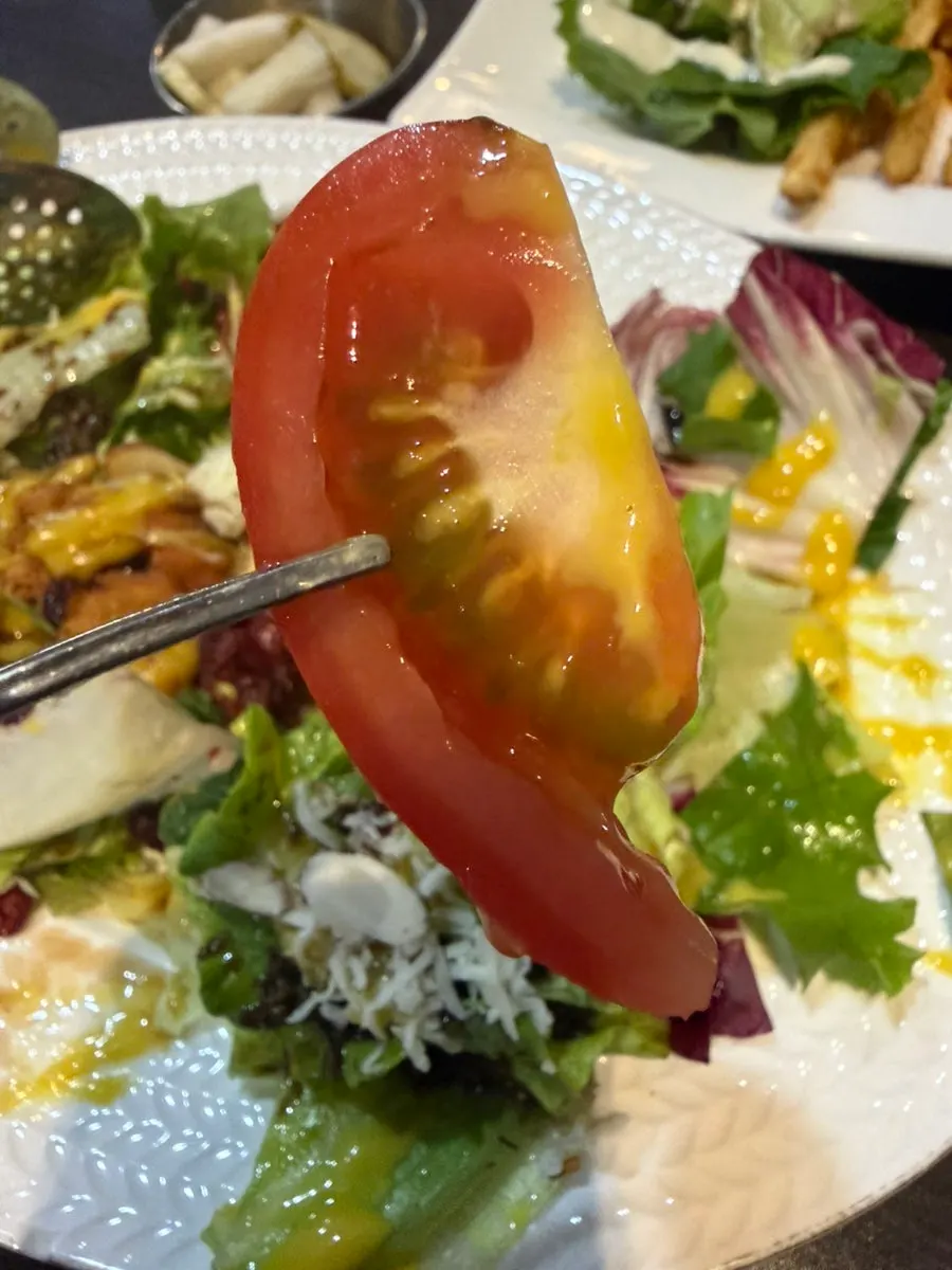 A forkful of chicken salad being lifted up