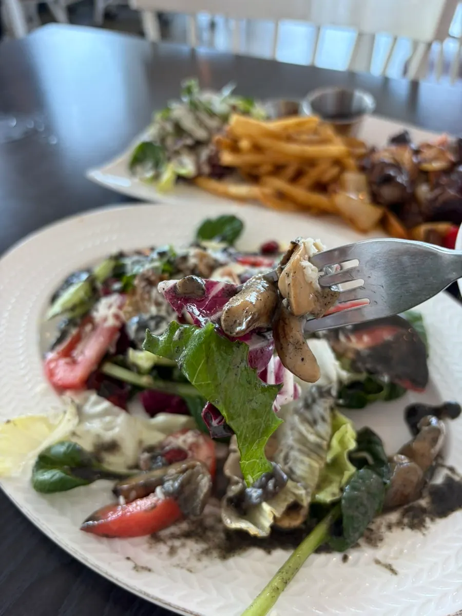Salad and pasta captured together with the ocean view