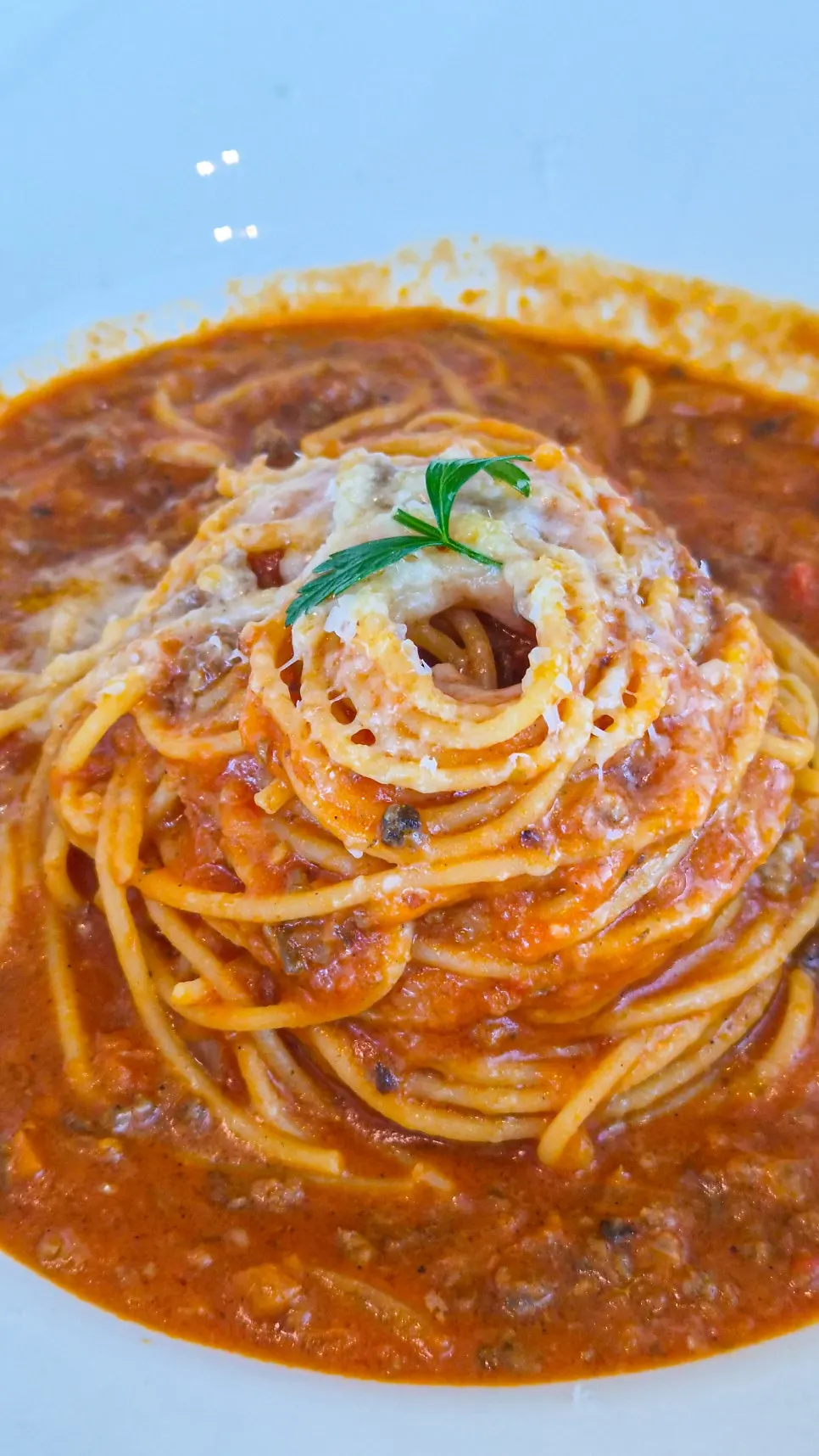 A plate of beef tomato spaghetti