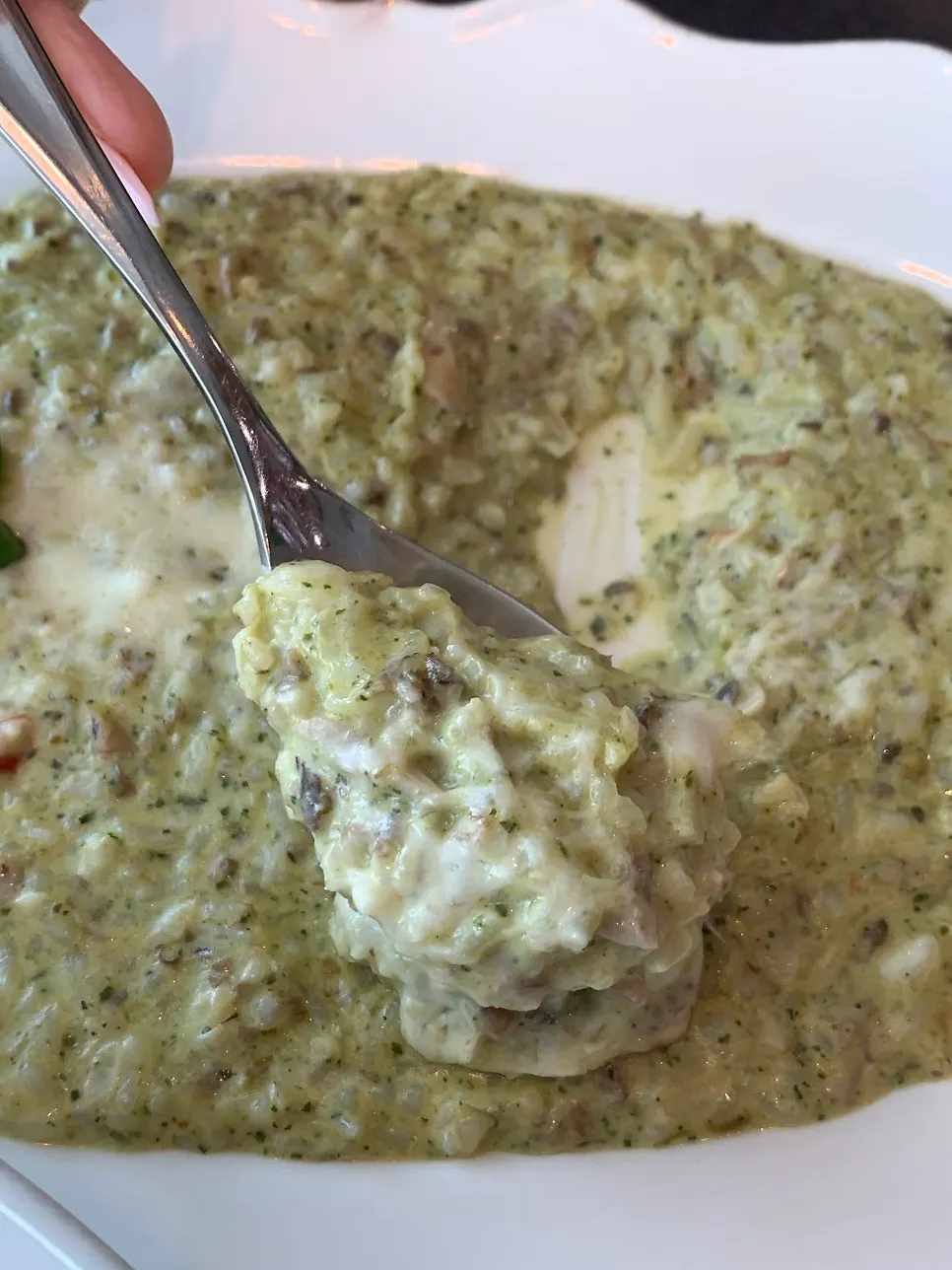 A bowl of mushroom basil cream risotto