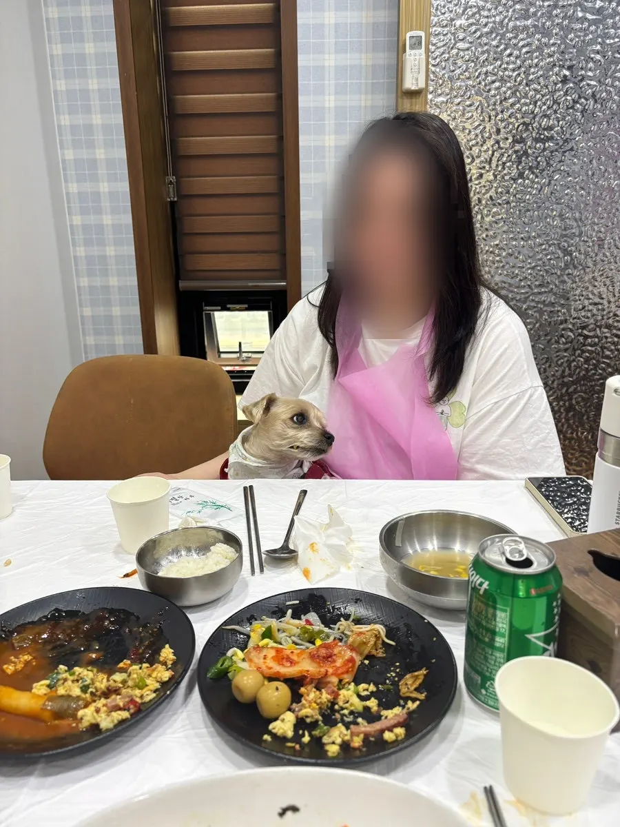 의자에 앉아 기다리는 반려견
