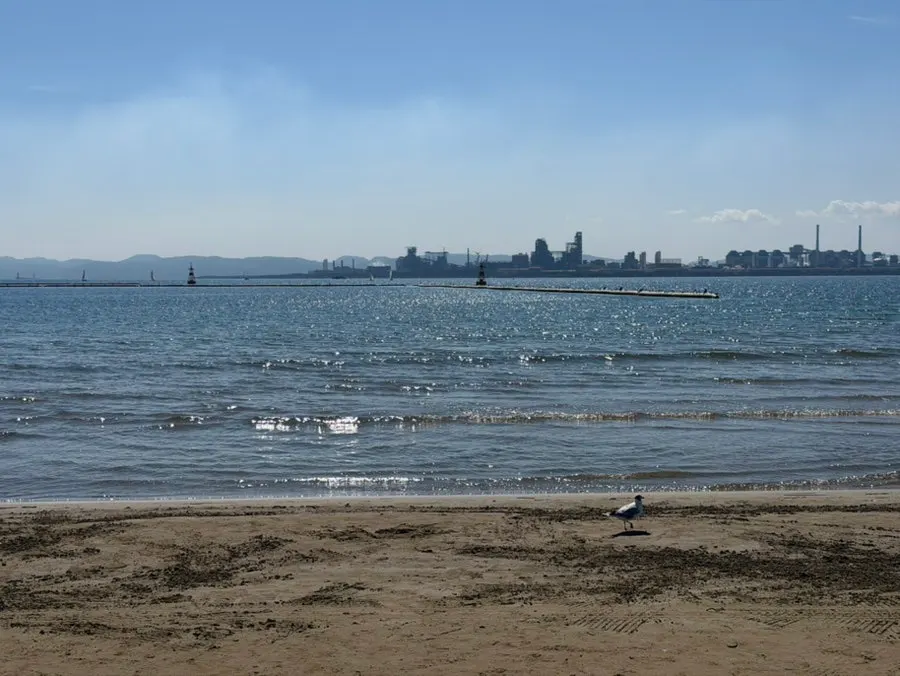 View of the Yeongildae sea after the meal