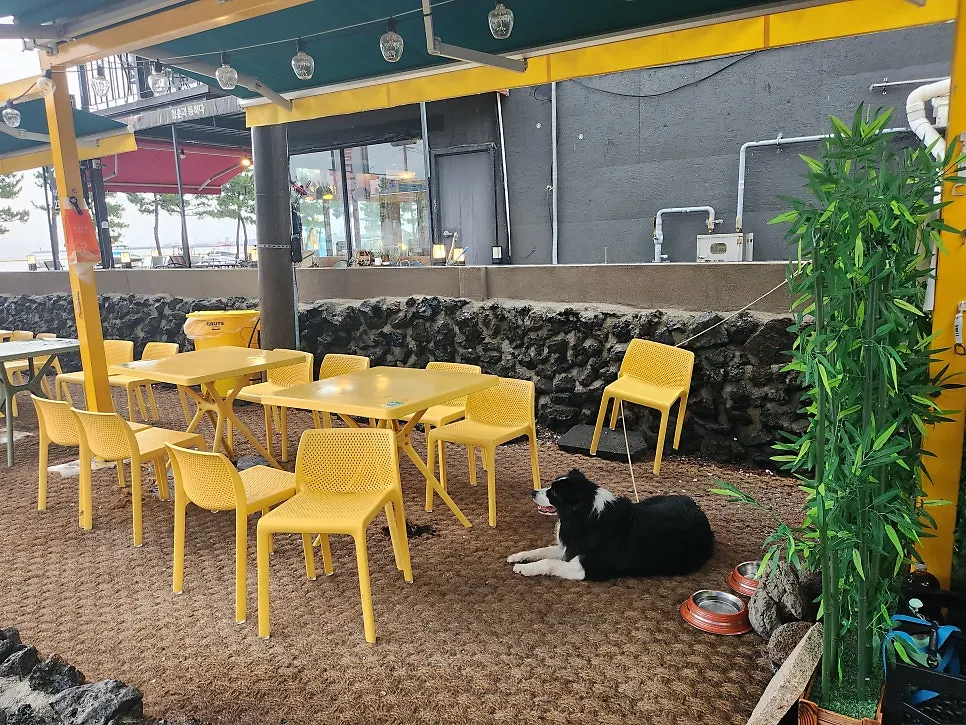 바다가 보이는 오늘도가자미 야외 자리