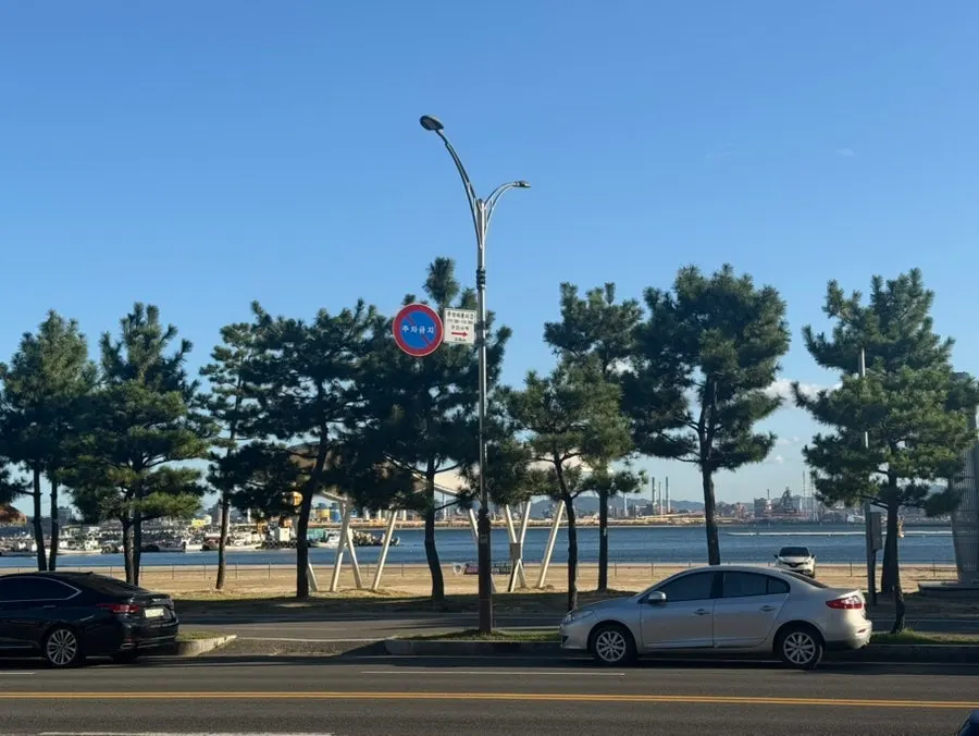 퐝물회 앞으로 보이는 포항 바다 전망