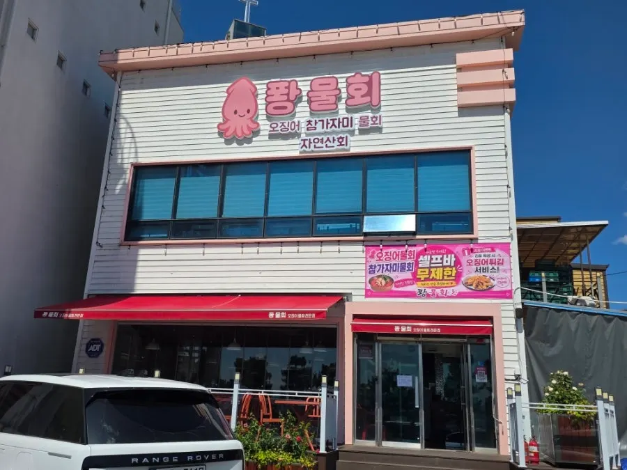 Visiting Ppwang Mulhoe on the main road by Yeongildae Beach