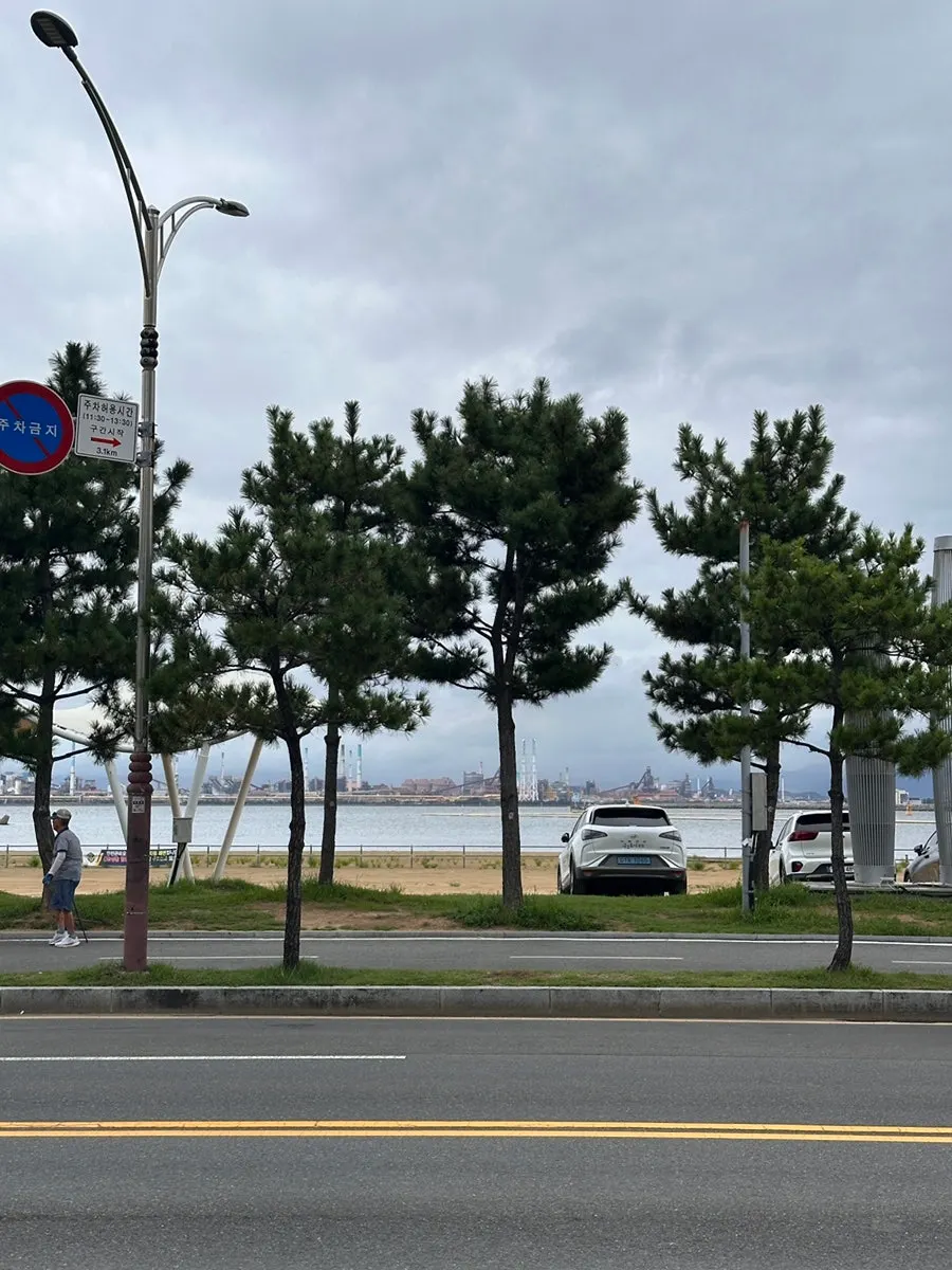 살을 발라 밥에 올린 가자미구이