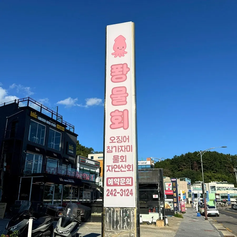 Vertical sign with a squid character for Ppwang Mulhoe along the coastal road
