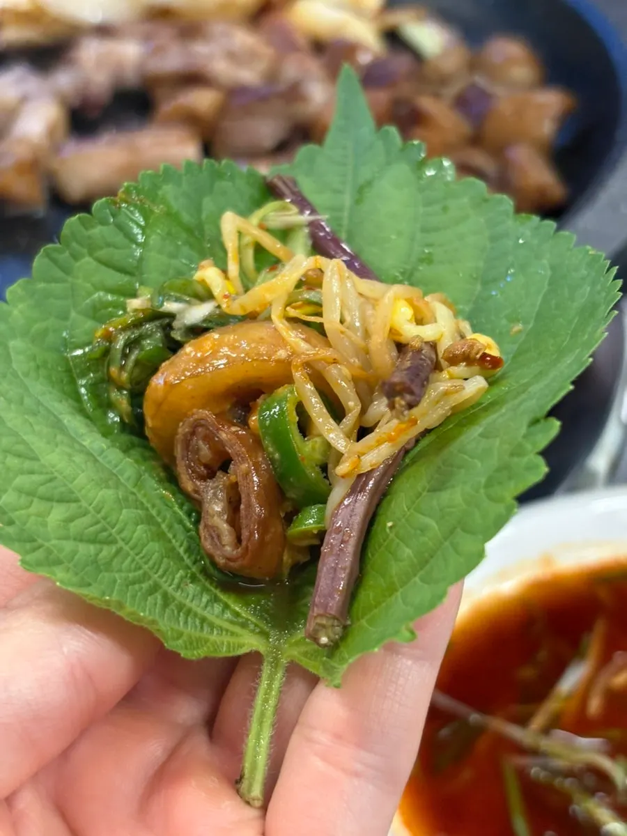 กระทะที่มีถั่วงอกและเฟิร์นเกาหลี