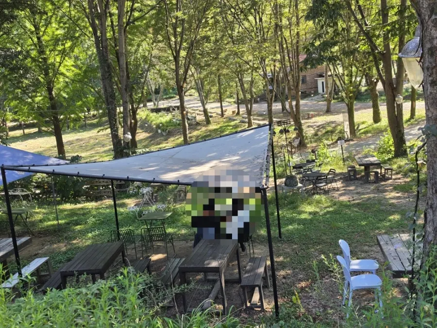 포어레스트 카페 주변 초록빛 숲뷰 풍경