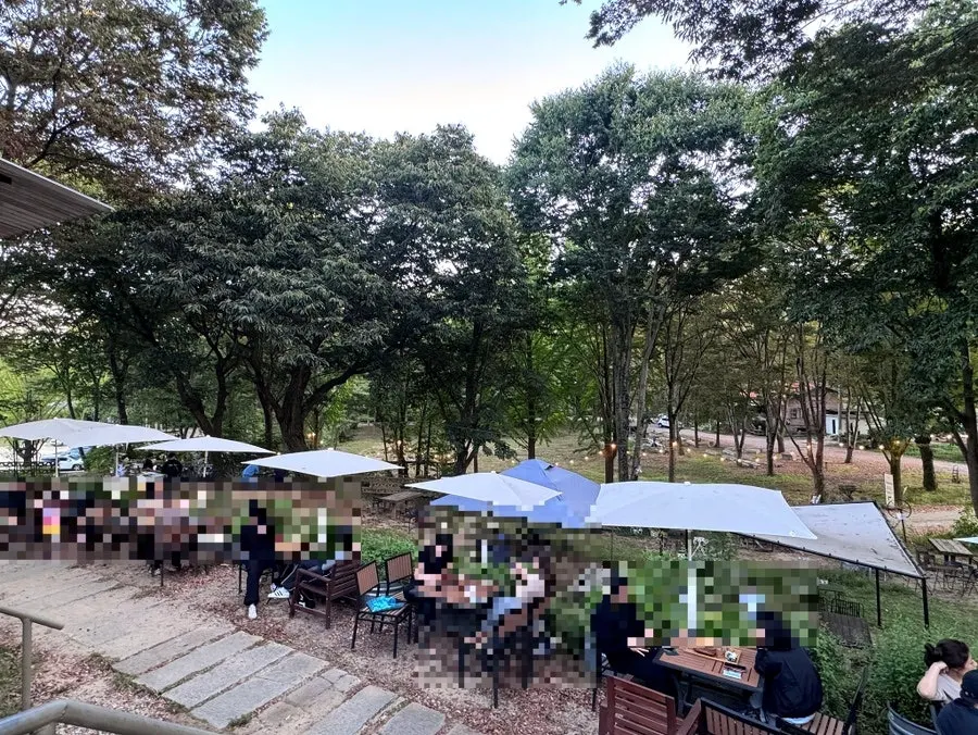 Outdoor seating at Forerest surrounded by lush trees