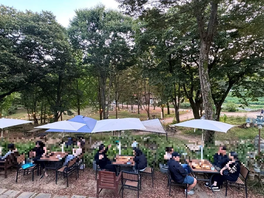 Outdoor café tables with a forest-like atmosphere