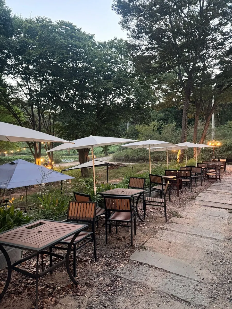 Forerest's outdoor space lit up in the evening