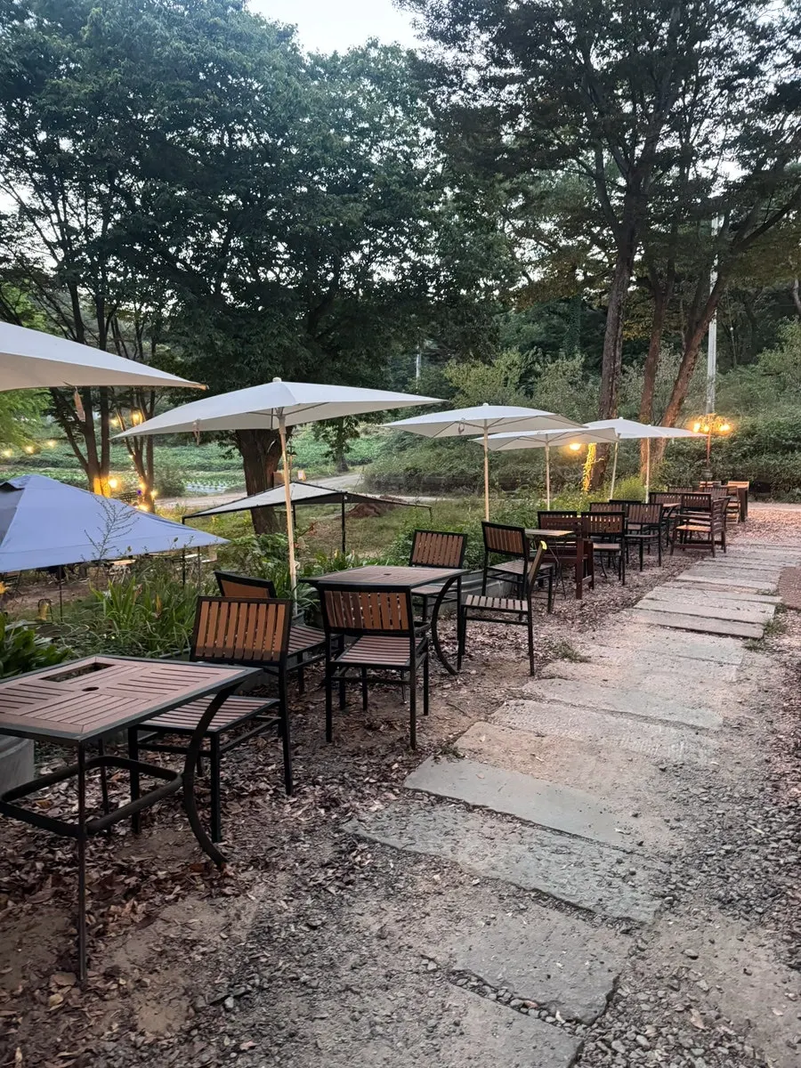 Night-time café with lights glowing between the trees