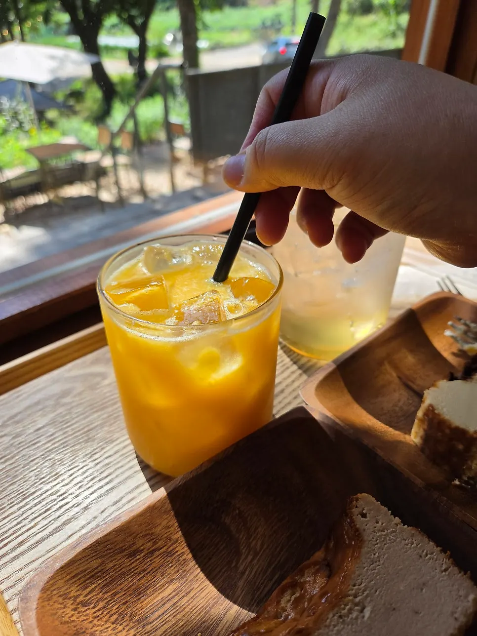 Cheesecake and apple ade enjoyed by the window
