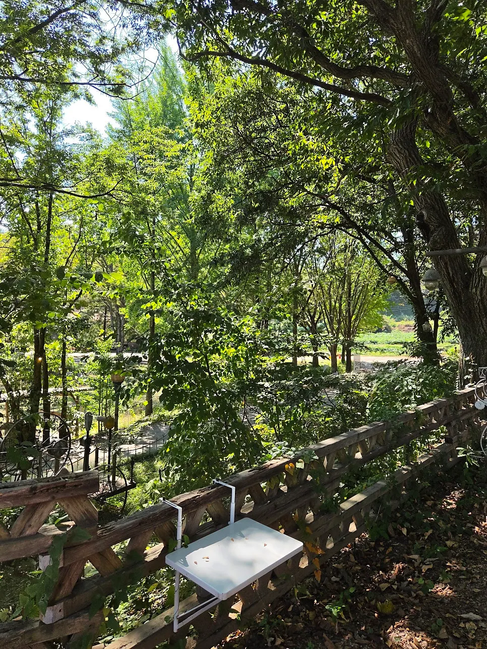 Outdoor tables placed in the yard