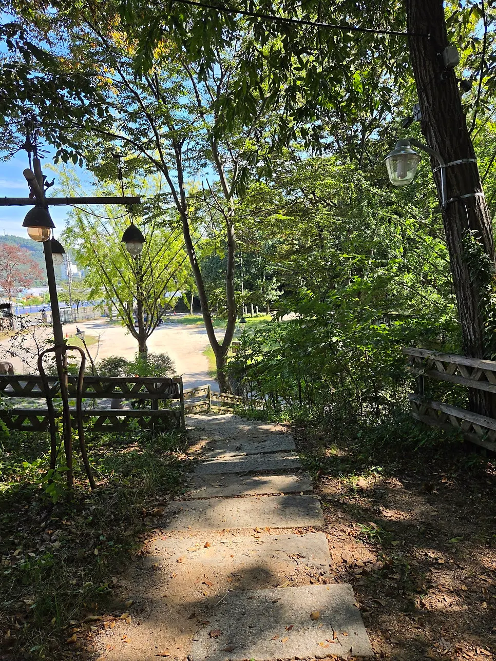 Sculptures placed around the yard