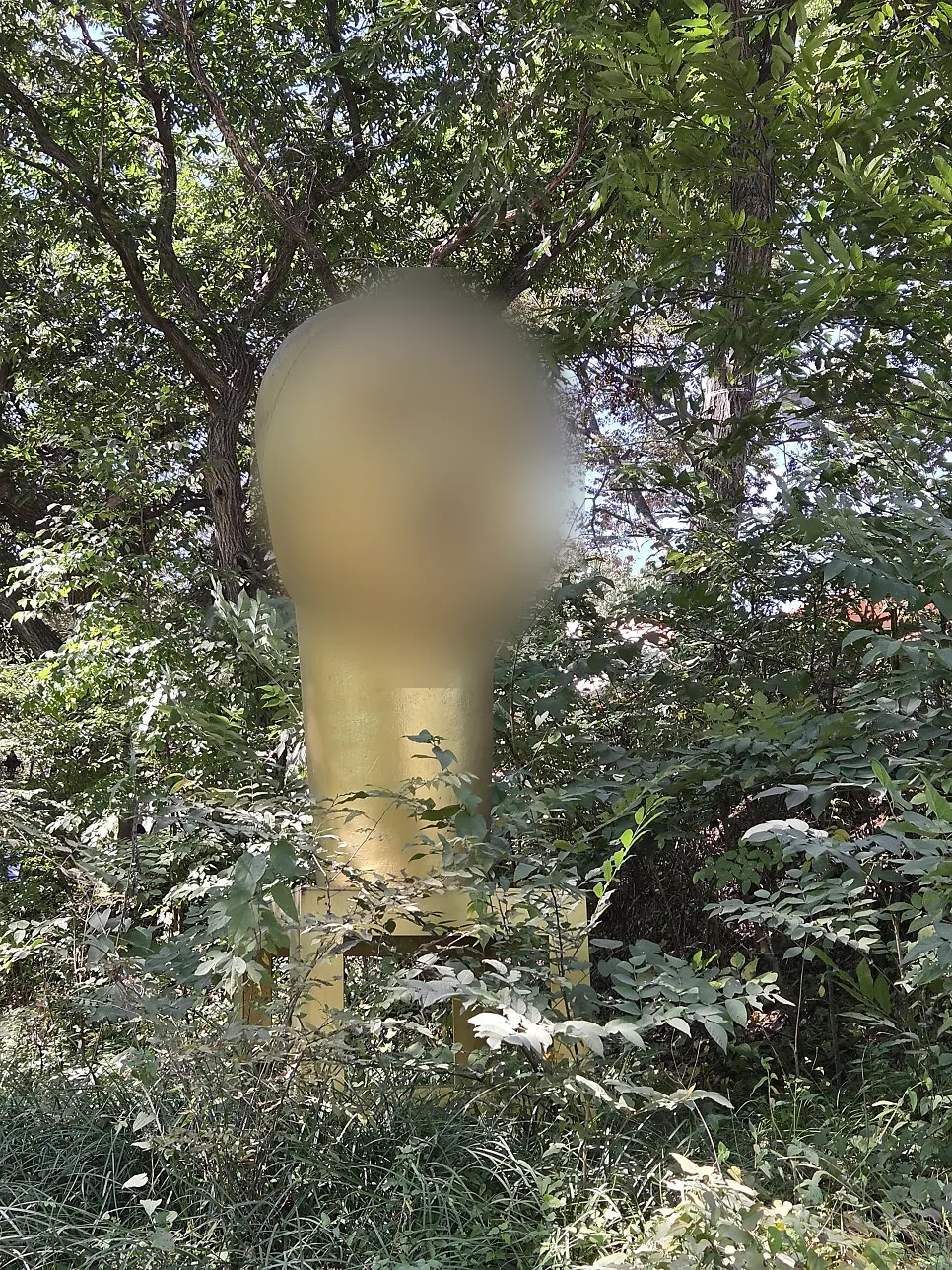 An objet placed in Forerest's yard