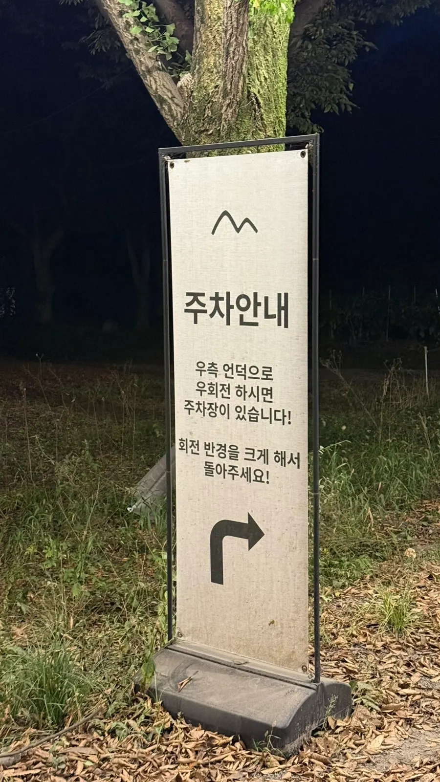 밤에 조명이 켜진 포어레스트 야외 풍경